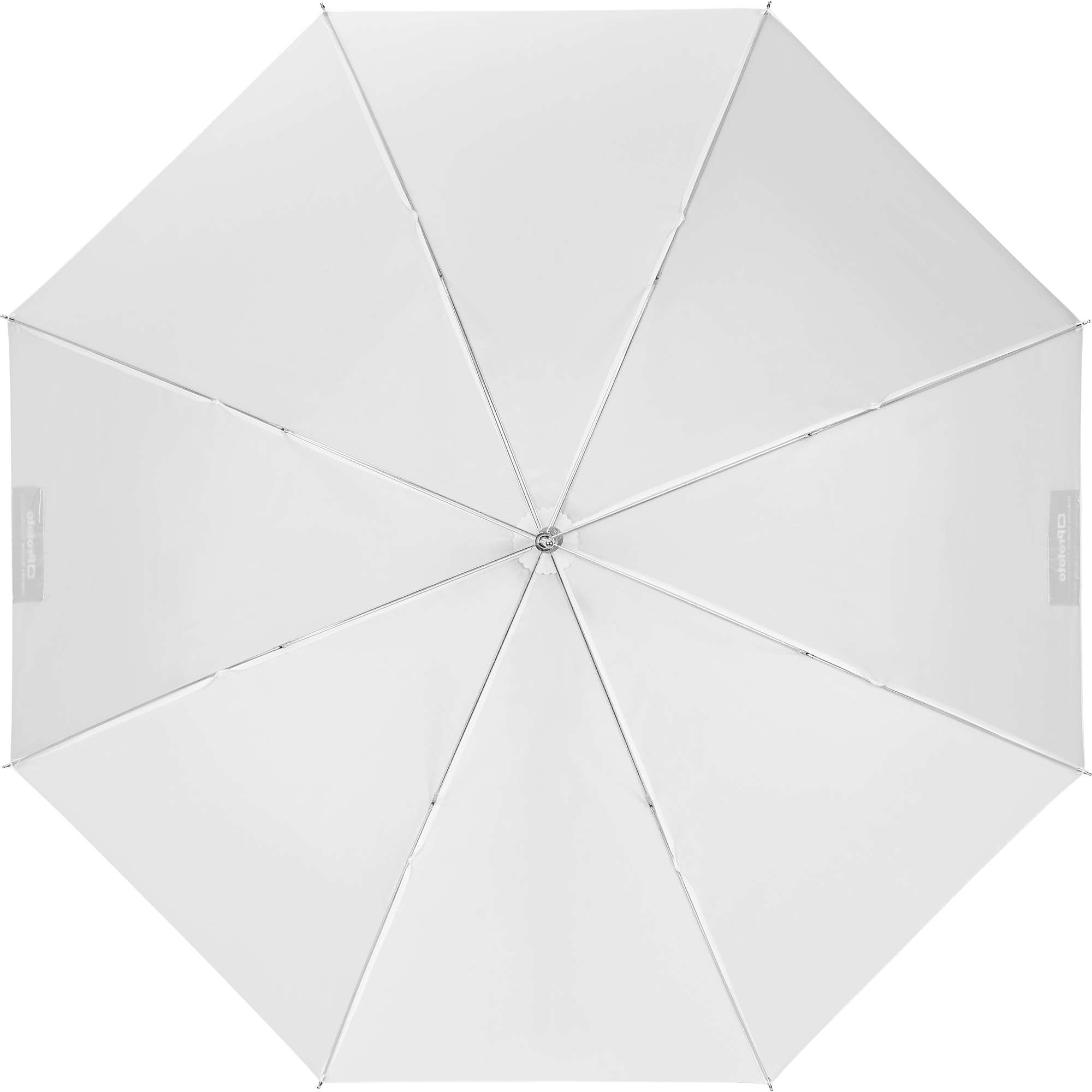 Umbrella Shallow Translucent Medium
